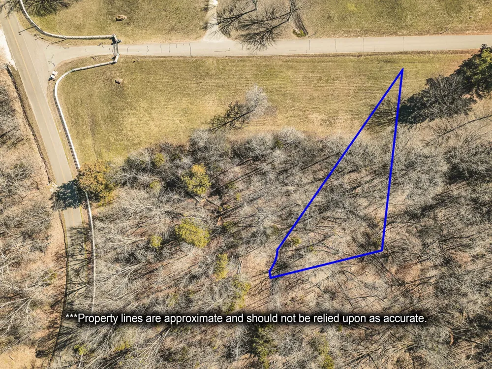 0 Creek Ridge Cove Parsons, TN 38363