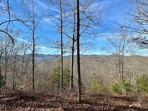 305 Raccoon Run #25