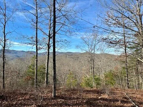 305 Raccoon Run #25 Marshall, NC 28753