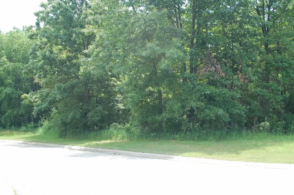 51467 CHRISTIAN DR #90