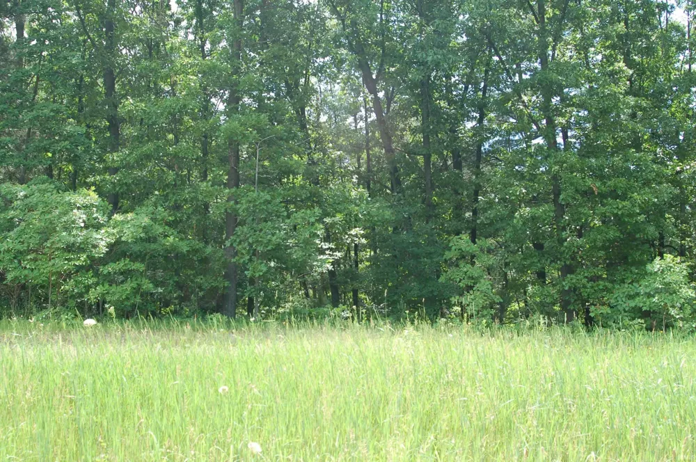 21574 RIVENDELL CT #5