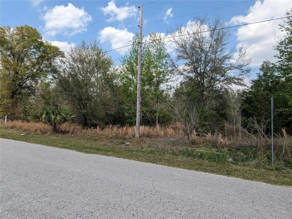 7711 SE 126TH PLACE Belleview, FL 34420