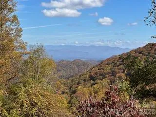 580 Freemont Drive #80 Leicester, NC 28748