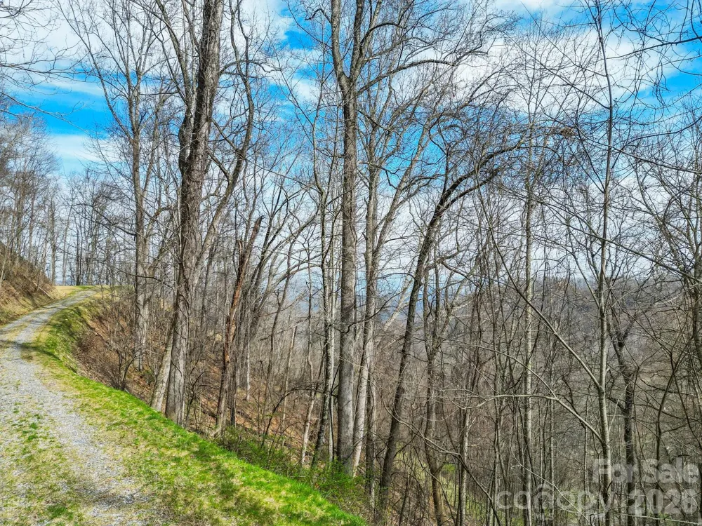 580 Freemont Drive #80 Leicester, NC 28748