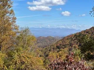 580 Freemont Drive #80 Leicester, NC 28748