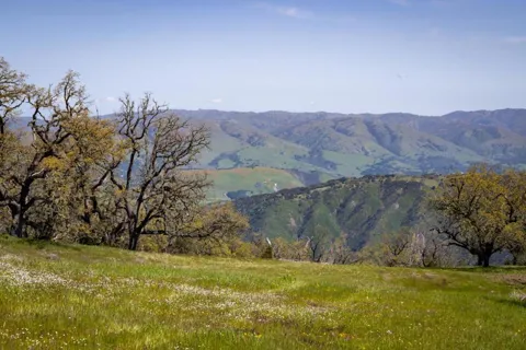 26 Long Ridge Trail