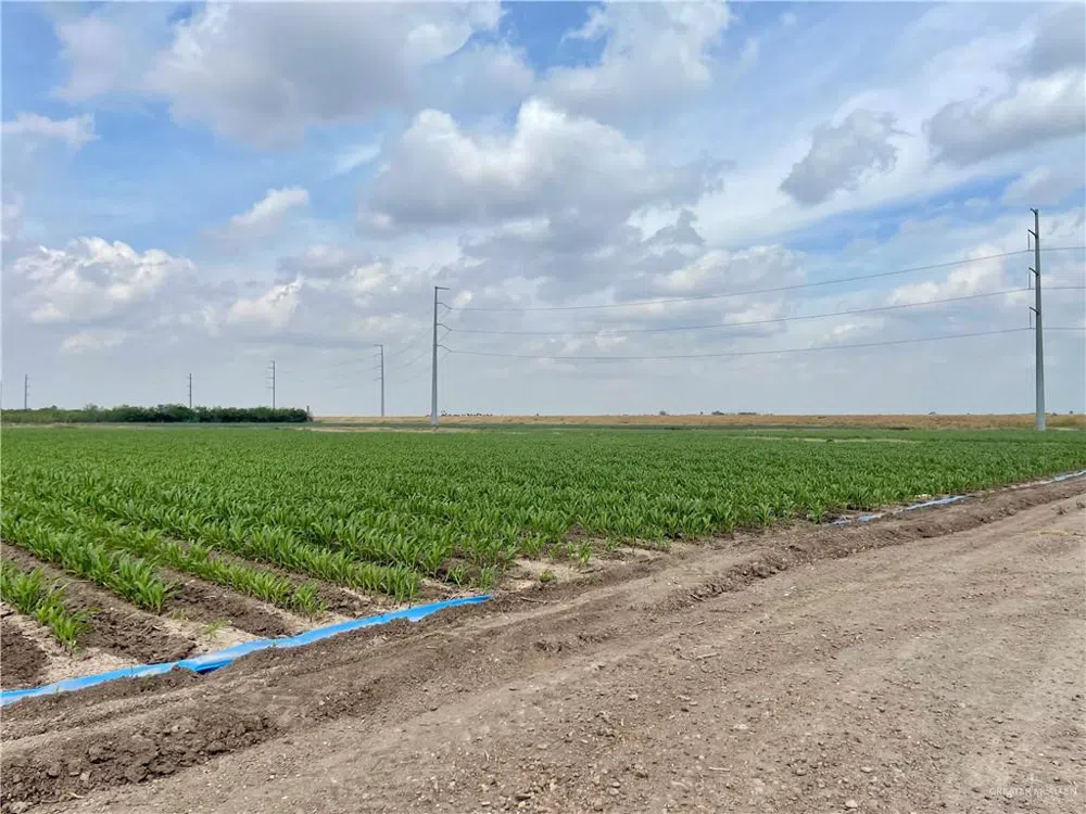 TBD Frontera Road Progreso, TX 78579