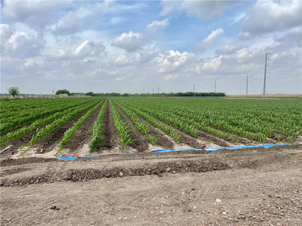 TBD Frontera Road Progreso, TX 78579