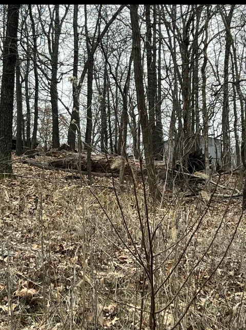 TBD Creek Avenue