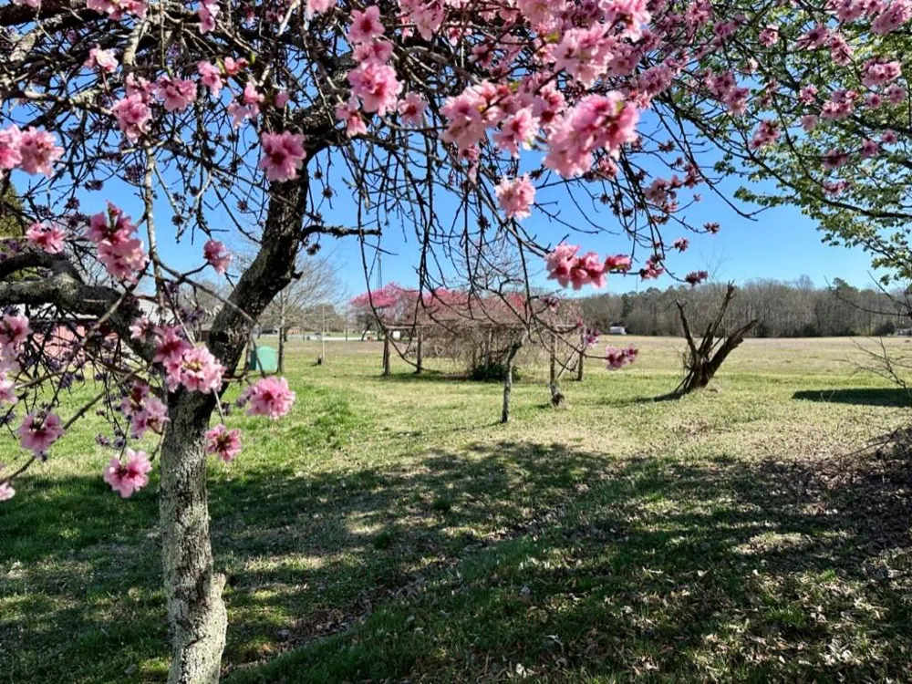 4085 W Nc 152 Highway China Grove, NC 28023