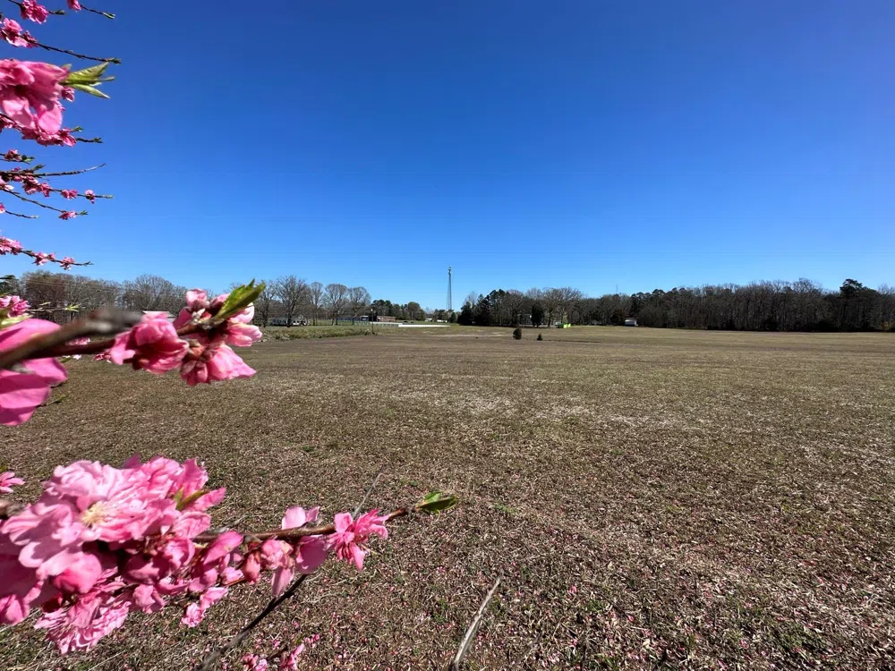 4085 W Nc 152 Highway China Grove, NC 28023