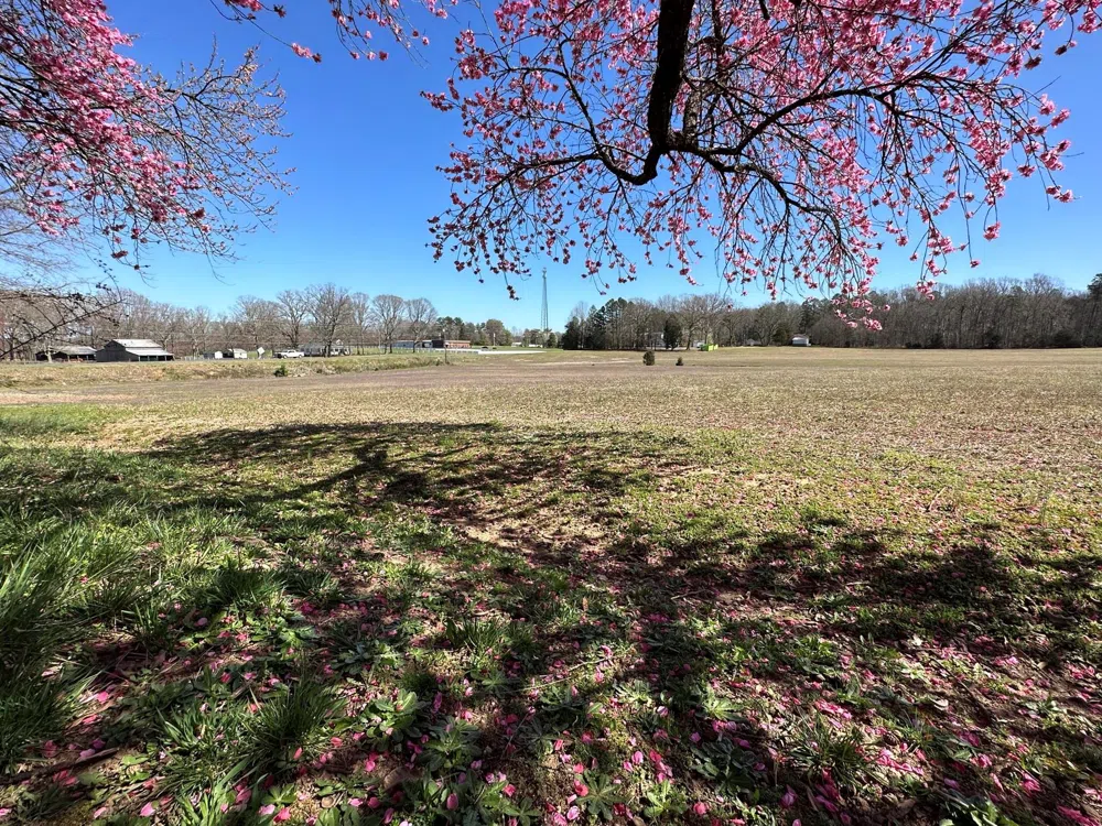 4085 W Nc 152 Highway China Grove, NC 28023