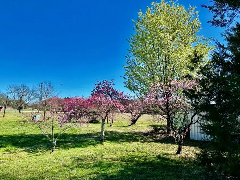 4085 W Nc 152 Highway China Grove, NC 28023