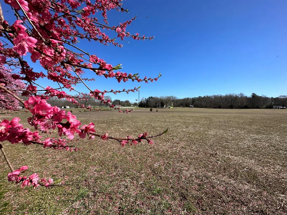 4085 W Nc 152 Highway China Grove, NC 28023