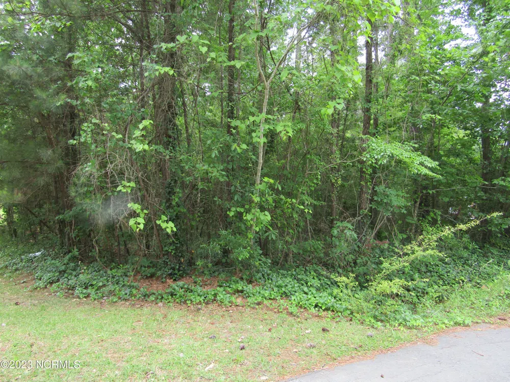 Lot 8 Quail Drive Plymouth, NC 27962