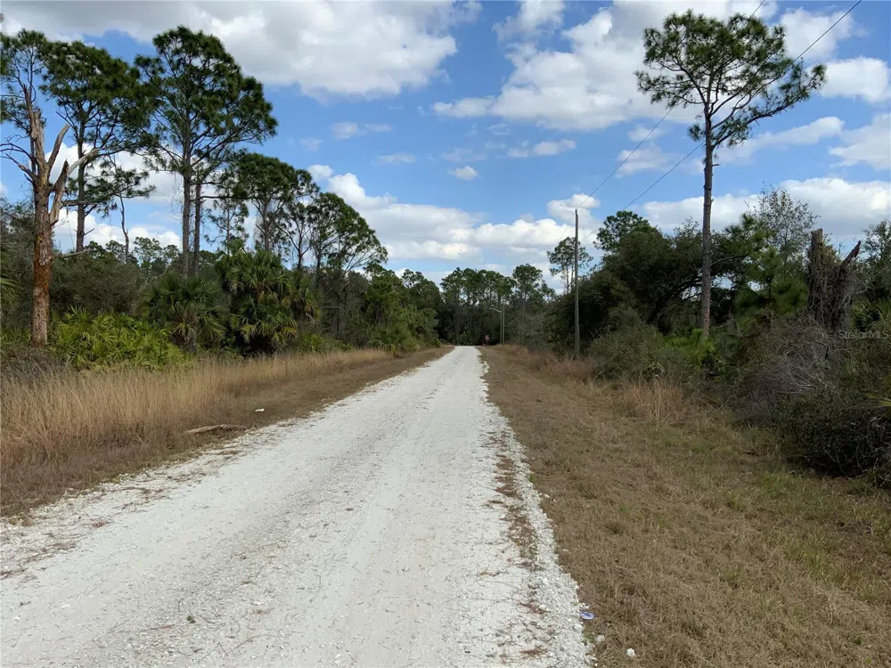 4219 E 30TH STREET Alva, FL 33920