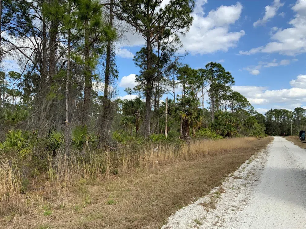 4219 E 30TH STREET Alva, FL 33920