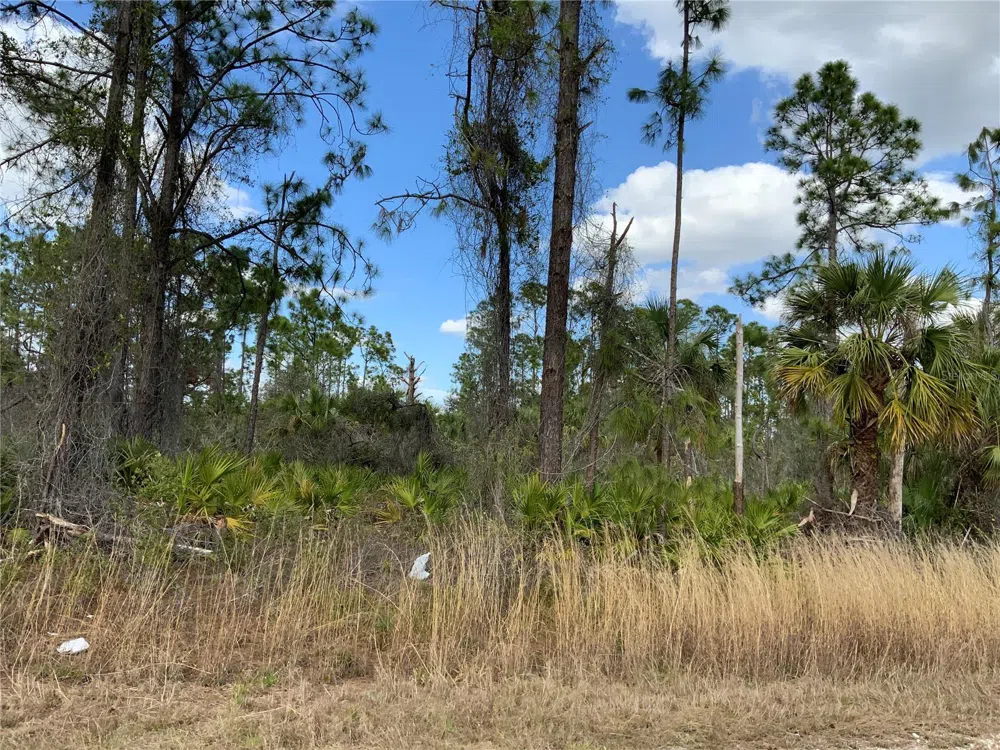 4219 E 30TH STREET Alva, FL 33920