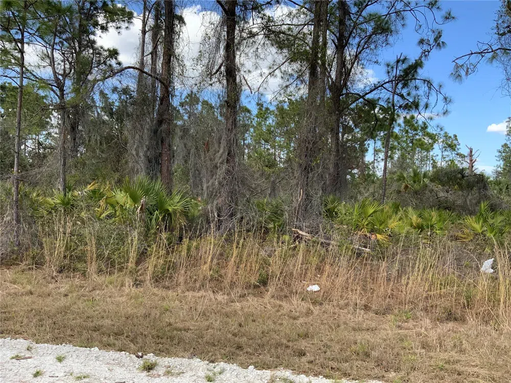 4219 E 30TH STREET Alva, FL 33920