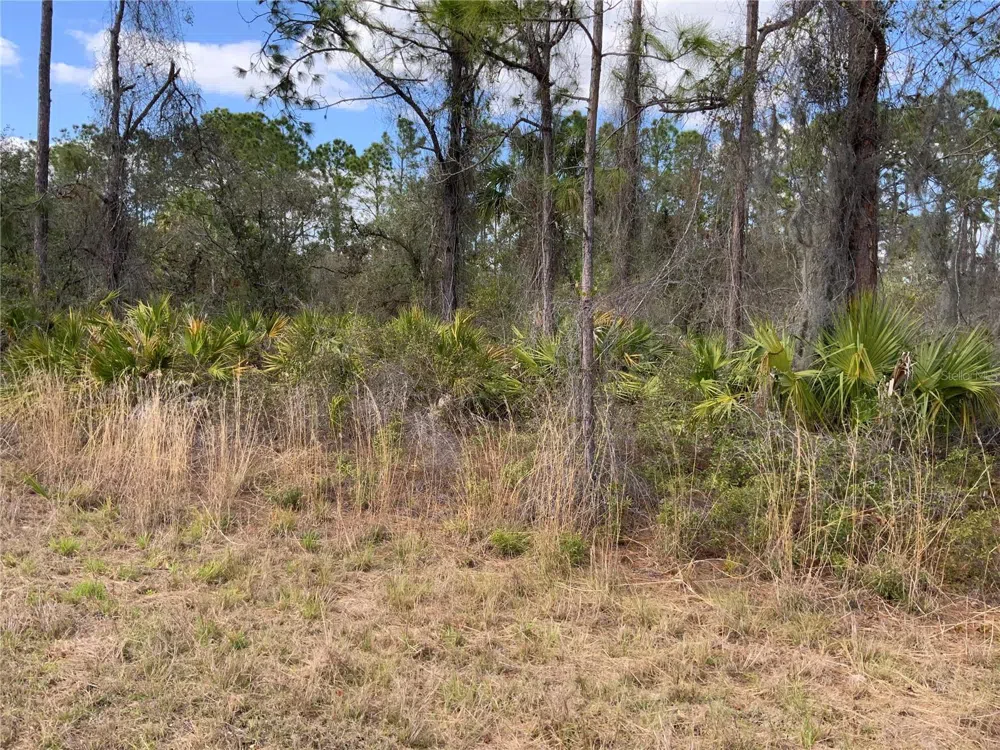 4219 E 30TH STREET Alva, FL 33920