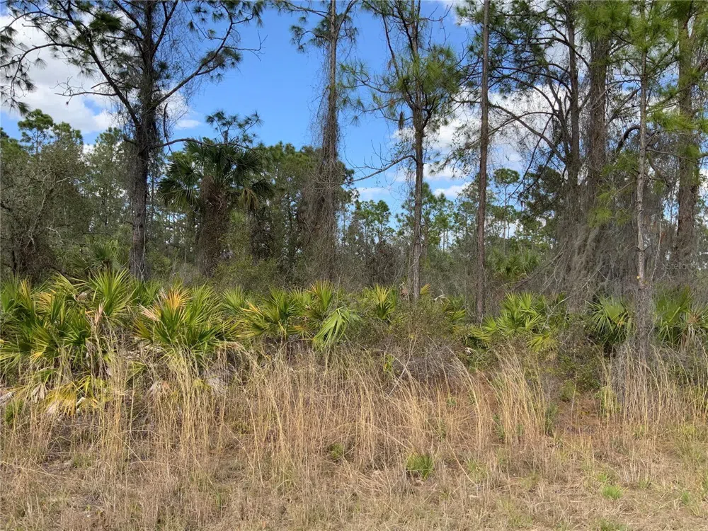 4219 E 30TH STREET Alva, FL 33920