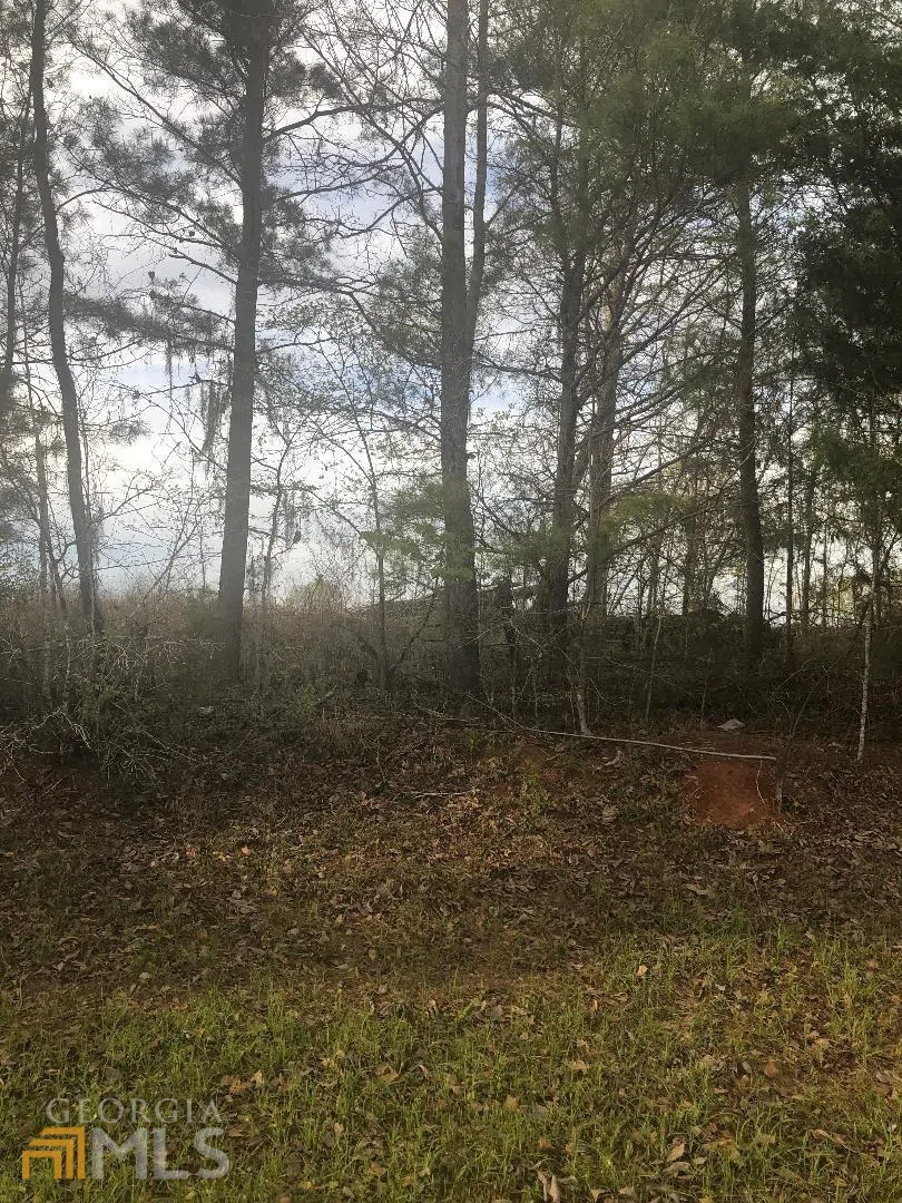 0 Crabapple DR Hawkinsville, GA 31036