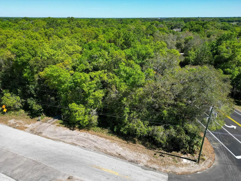 NILES STREET Mount Plymouth, FL 32776