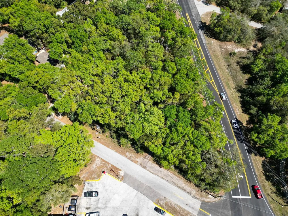 NILES STREET Mount Plymouth, FL 32776