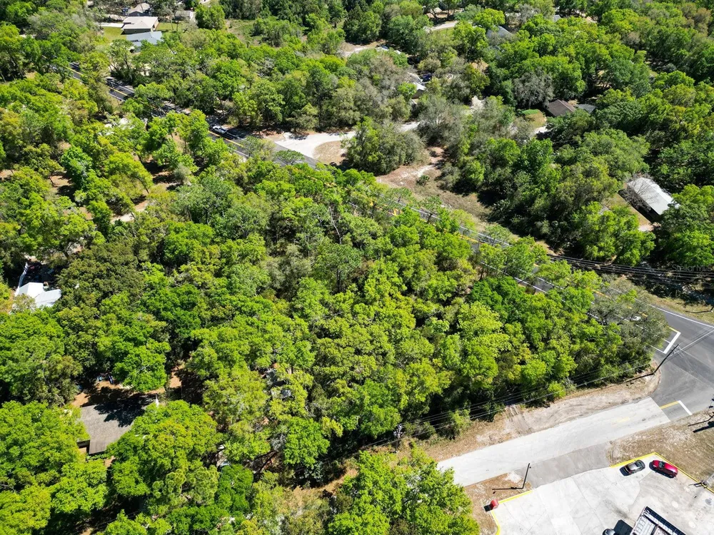 NILES STREET Mount Plymouth, FL 32776