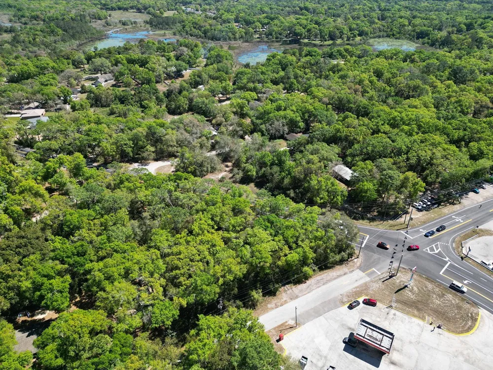 NILES STREET Mount Plymouth, FL 32776