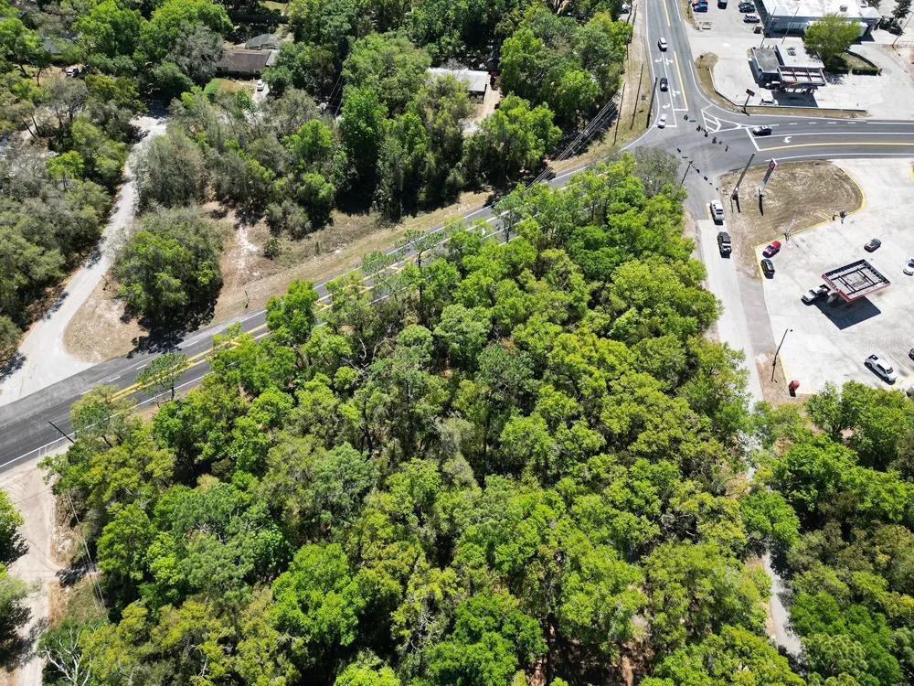 NILES STREET Mount Plymouth, FL 32776