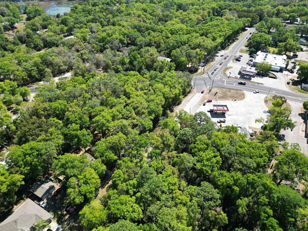 NILES STREET Mount Plymouth, FL 32776