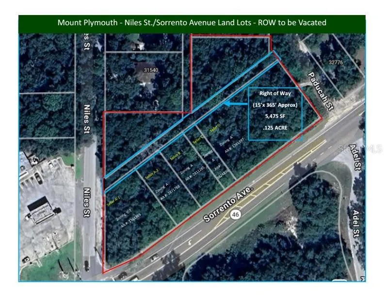 NILES STREET Mount Plymouth, FL 32776
