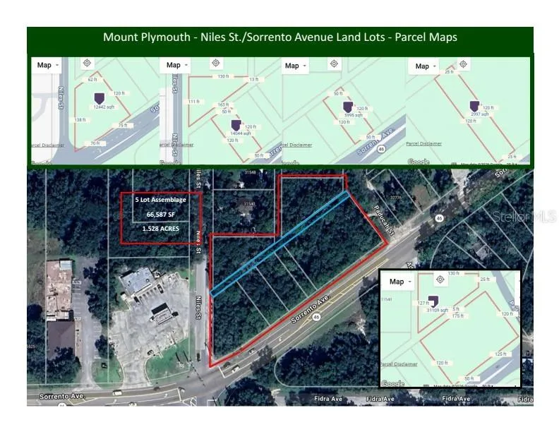 NILES STREET Mount Plymouth, FL 32776