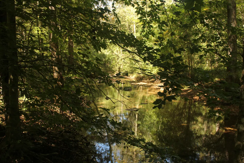 0 Puncheon Creek Rd Lafayette, TN 37083
