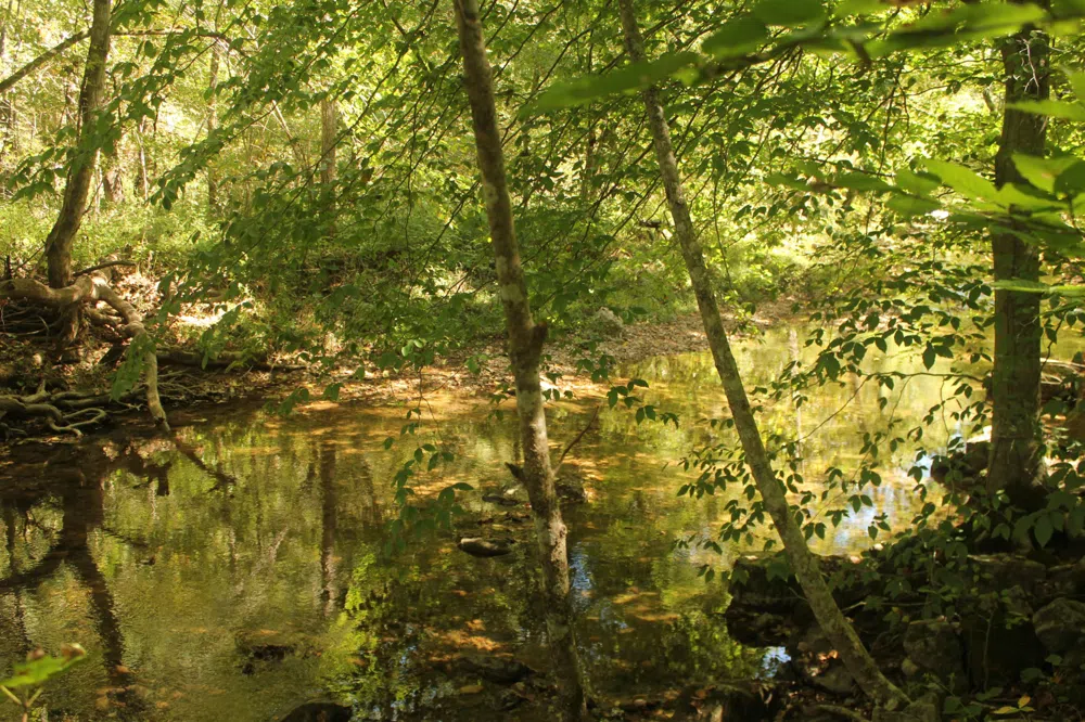 0 Puncheon Creek Rd Lafayette, TN 37083