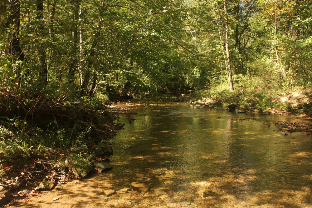 0 Puncheon Creek Rd Lafayette, TN 37083