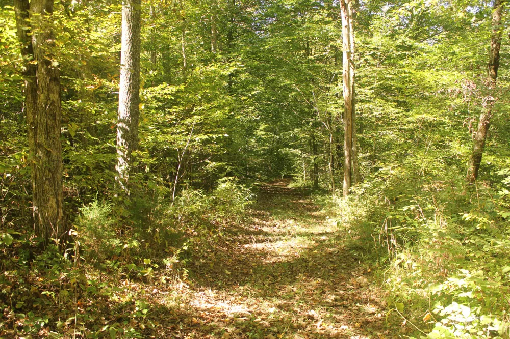 0 Puncheon Creek Rd Lafayette, TN 37083