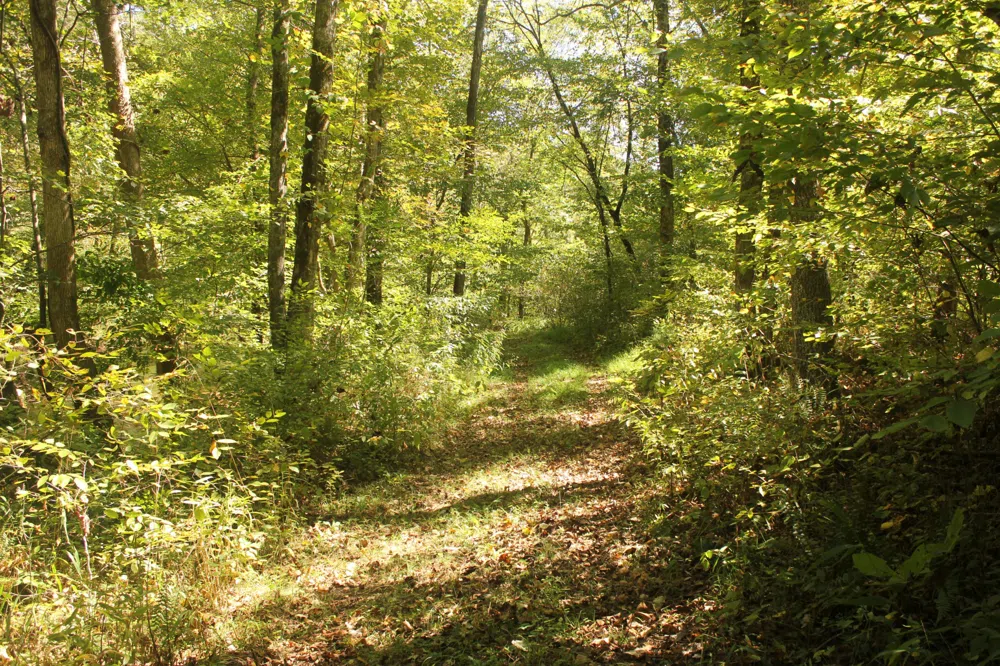 0 Puncheon Creek Rd Lafayette, TN 37083