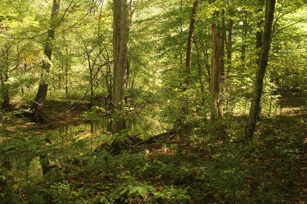 0 Puncheon Creek Rd Lafayette, TN 37083