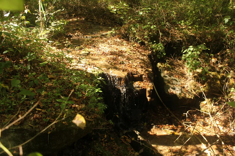 0 Puncheon Creek Rd Lafayette, TN 37083