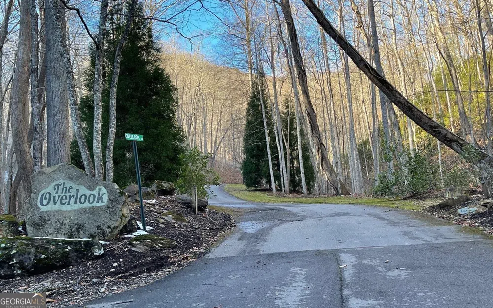 LOT 34 Overlook At Young Harris Young Harris, GA 30582