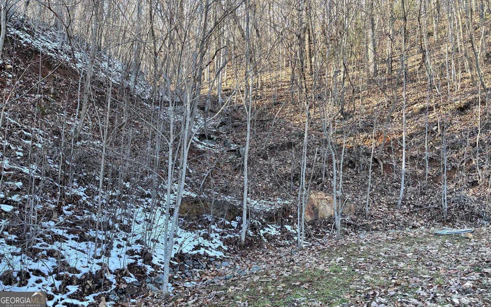 LOT 34 Overlook At Young Harris Young Harris, GA 30582