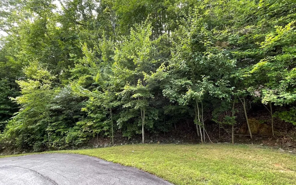 LOT 34 Overlook At Young Harris Young Harris, GA 30582