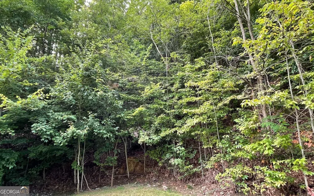 LOT 34 Overlook At Young Harris Young Harris, GA 30582