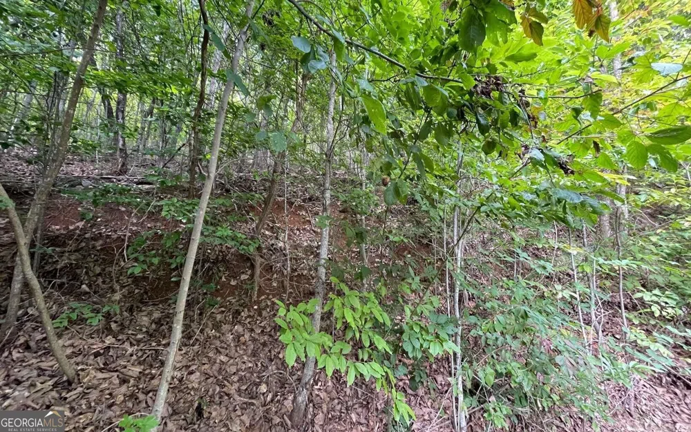 LOT 34 Overlook At Young Harris Young Harris, GA 30582
