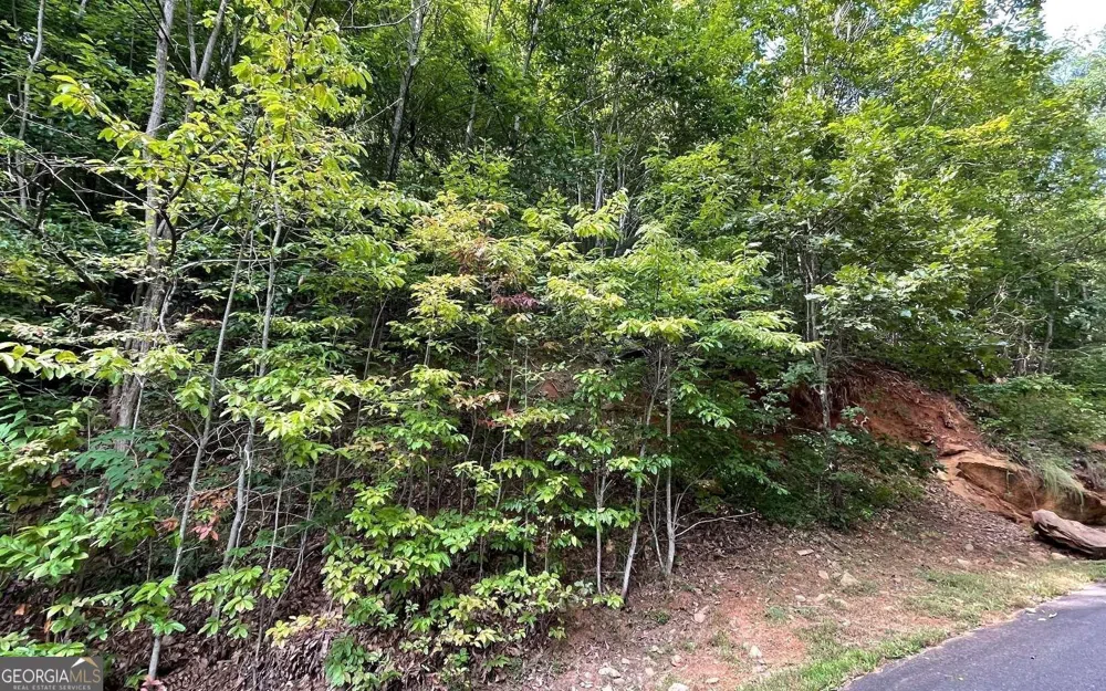 LOT 34 Overlook At Young Harris Young Harris, GA 30582