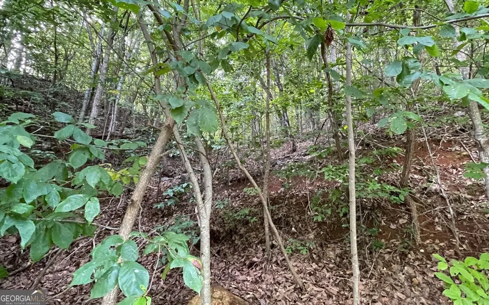 LOT 34 Overlook At Young Harris Young Harris, GA 30582