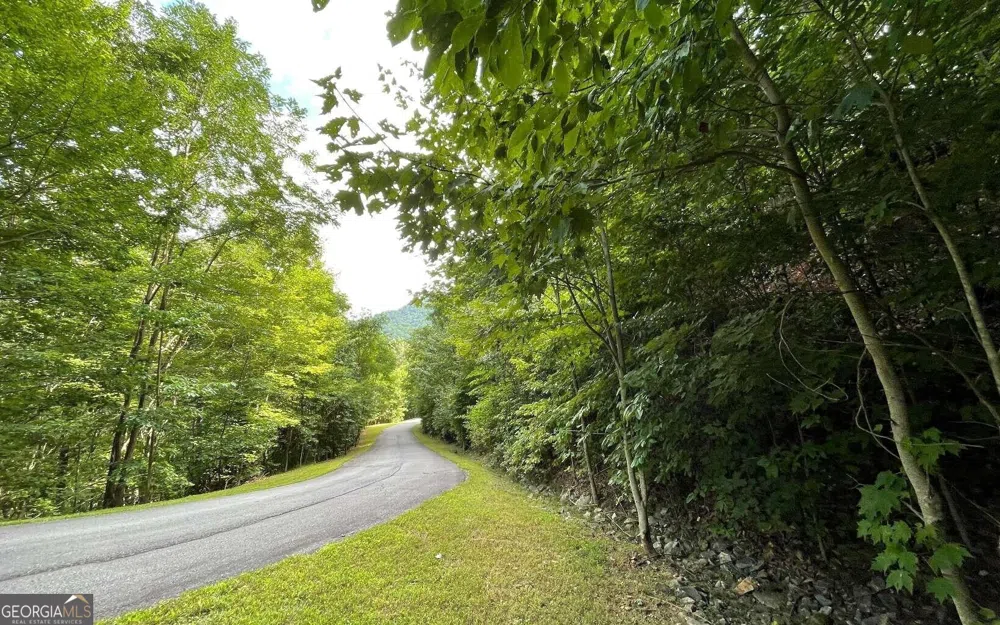 LOT 34 Overlook At Young Harris Young Harris, GA 30582