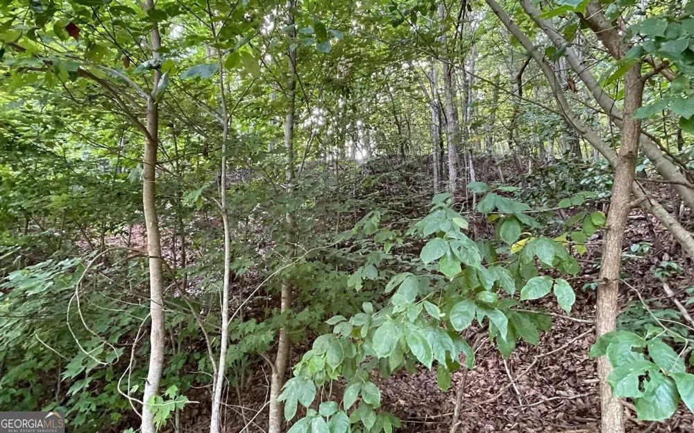 LOT 34 Overlook At Young Harris Young Harris, GA 30582